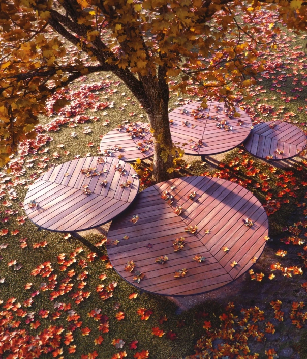Ein Baum mit Herbstblättern, die um ihn herum verstreut sind, und mehreren runden Holzplattformen oder Tischen, die ebenfalls mit gefallenen Blättern bedeckt sind.