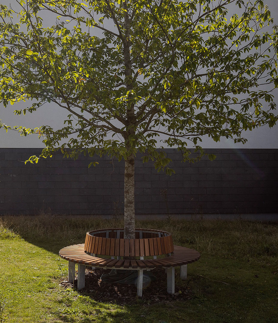 04Maja_Hitsa_Seite Alt-Text: Ein Baum mit üppigem Laub steht in der Mitte einer runden Sitzgelegenheit aus Holz, die auf einer grünen Fläche platziert ist. Im Hintergrund ist eine graue Wand zu sehen.
