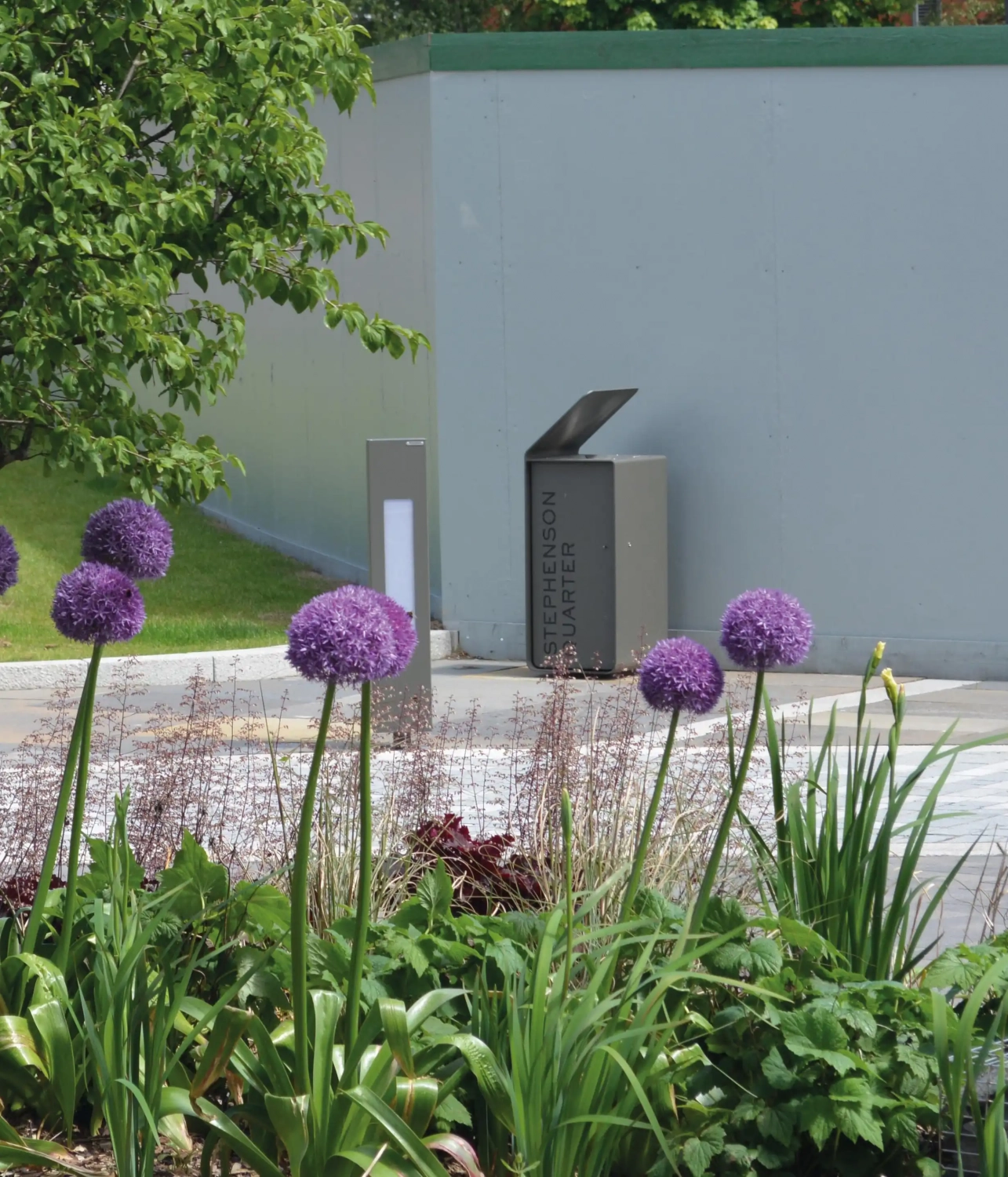 05_Yes_Seite Ein blühendes Gartenbeet mit lila Zierlauch, das sich vor einer grauen Wand und einem modernen Müllbehälter befindet. Im Hintergrund sind Gräser und andere Pflanzen zu sehen.