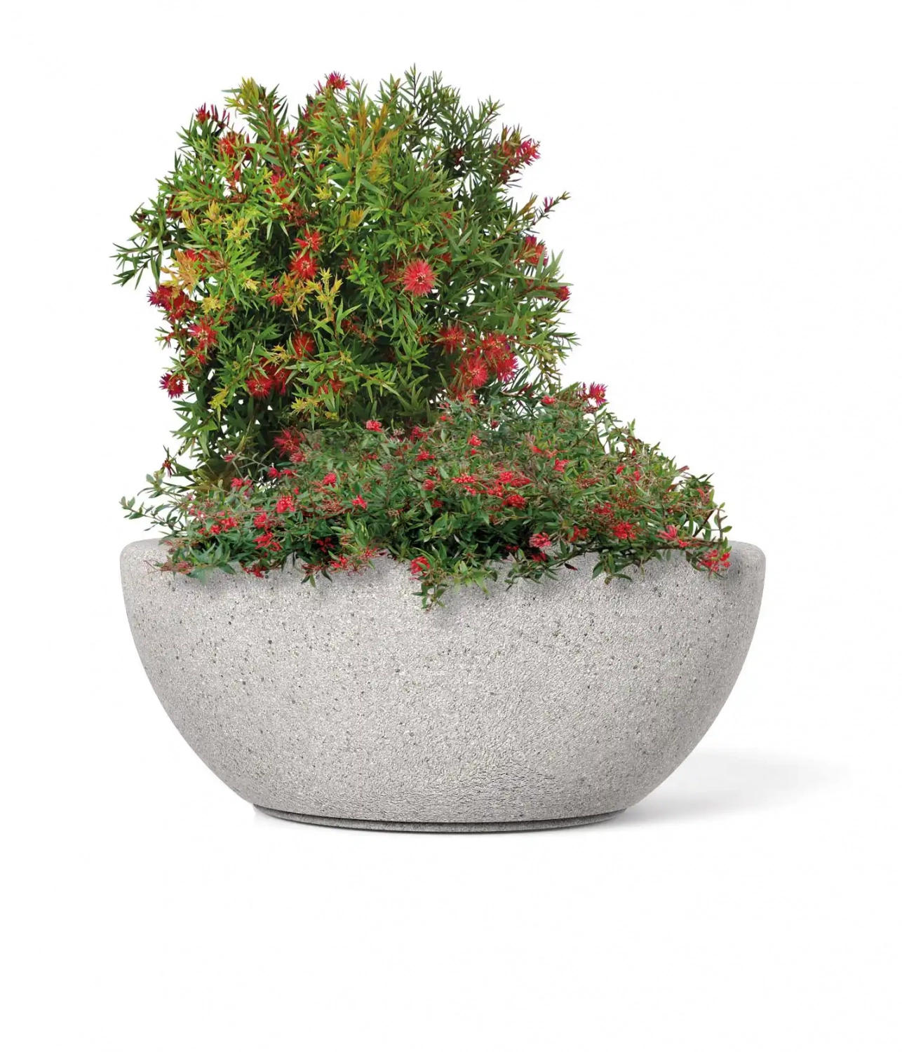 Alt-Text: Pflanzbehälter in ovaler Form, gefüllt mit bunten Blumen und grünen Pflanzen.
