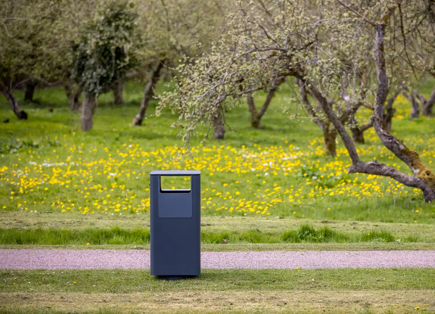 Müllbehälter auf einem Weg in einer blühenden Parklandschaft mit Bäumen und gelben Blumen auf dem Gras.