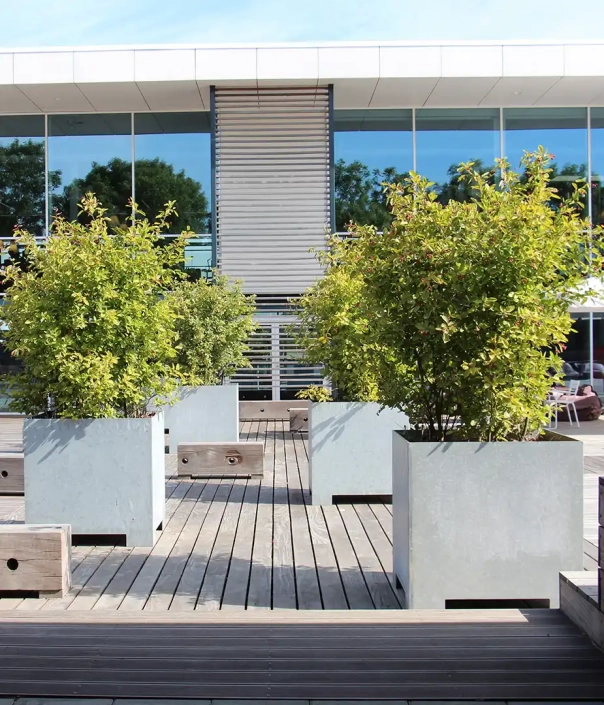 Alt-Text: Zwei moderne Pflanzbehälter aus Beton mit üppigen grünen Sträuchern auf einer Holzterrasse vor einem großen Fenster.