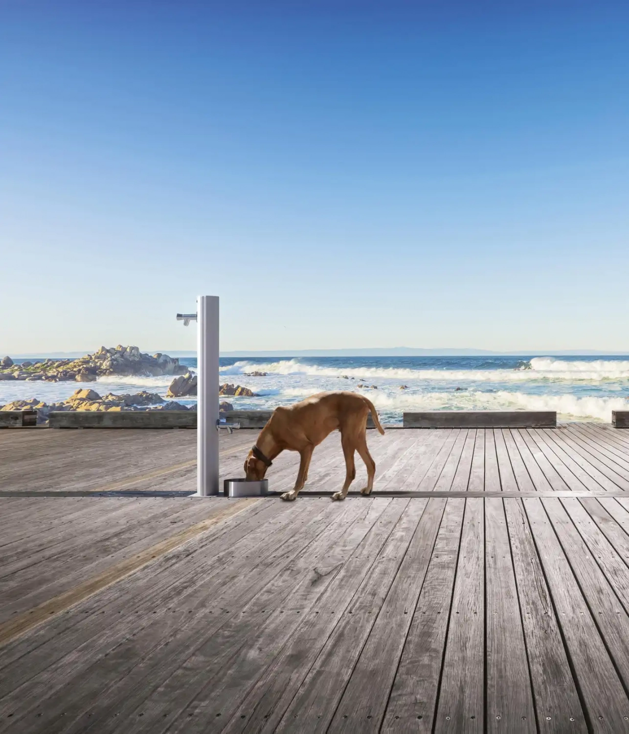 Alt-Text: "Ein Hund trinkt an einem modernen Trinkwasserbrunnen auf einer Holzterrasse mit Blick auf das Meer und den blauen Himmel."