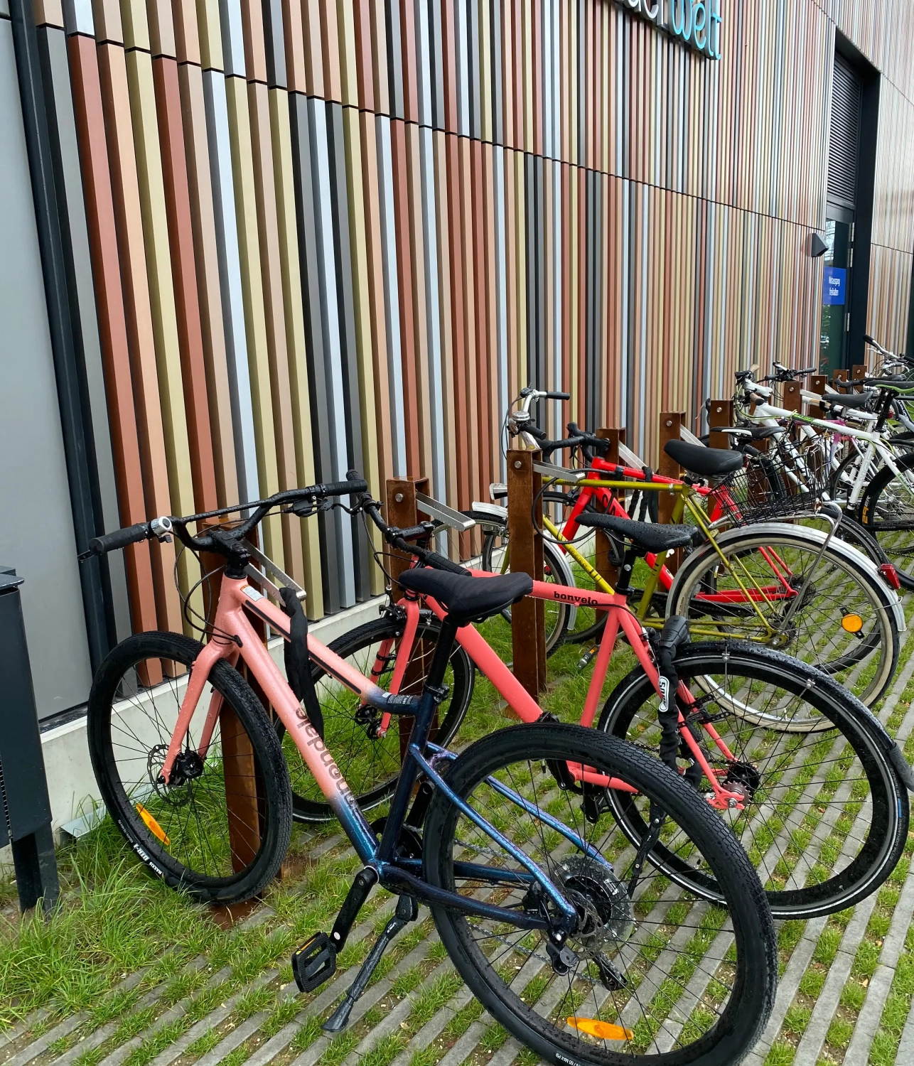 Alt-Text: "Fahrräder in einem Fahrradständer vor einer farbigen Wand, mit verschiedenen Fahrrädern in unterschiedlichen Farben."