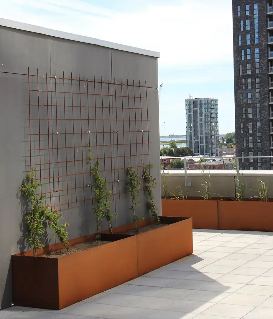 Alt-Text: Pflanzbehälter aus rostfarbenem Metall auf einer Dachterrasse, mit einem Gitter zur Unterstützung von Pflanzen im Hintergrund.